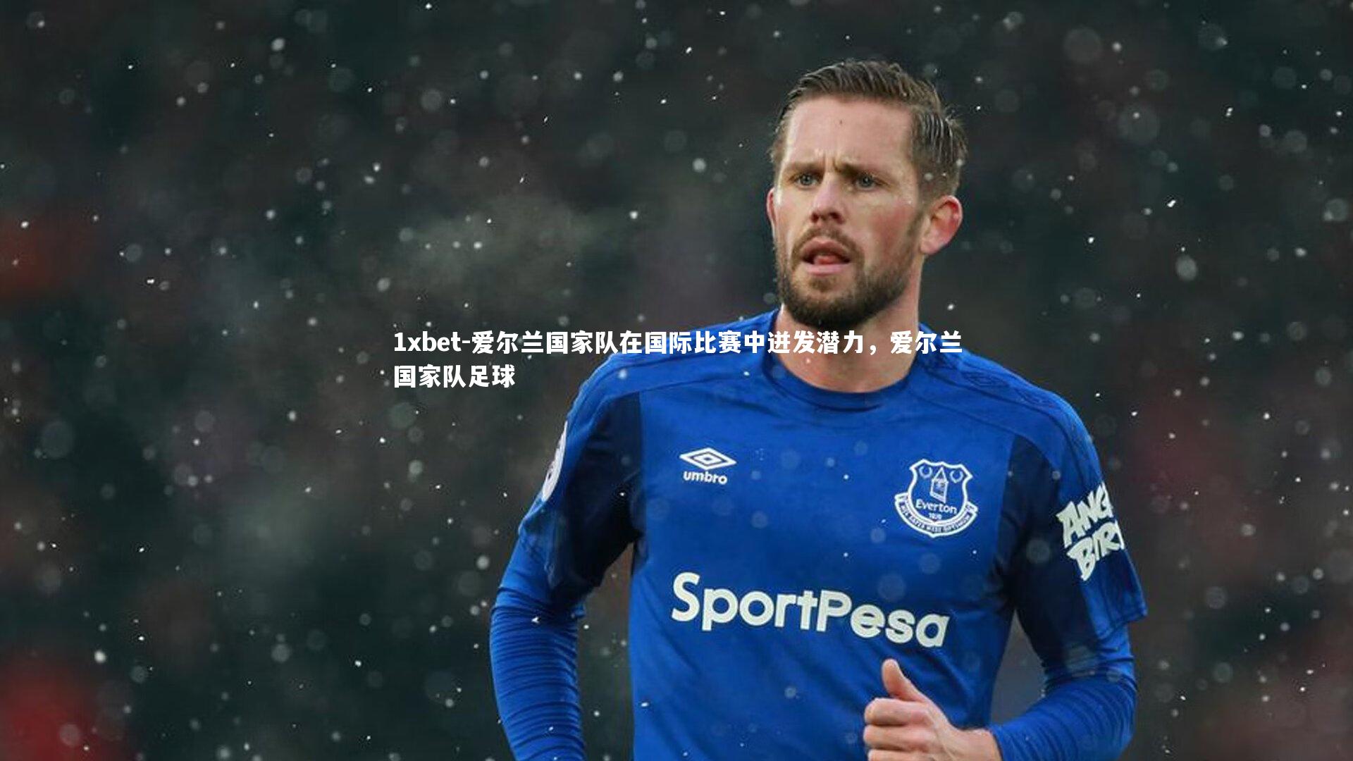 爱尔兰国家队在国际比赛中迸发潜力，爱尔兰国家队足球